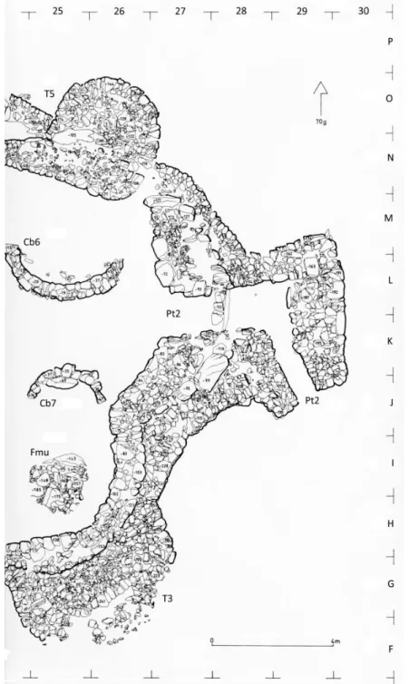 Fig. 4.—The extremity at 170 grads of Cerro do Castelo de Santa Justa. P2, the gate from the second  phase (Pt2)