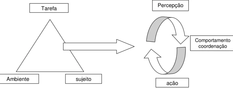 Figura 3 - Modelo de interação de constrangimentos (Newell, 1986). 