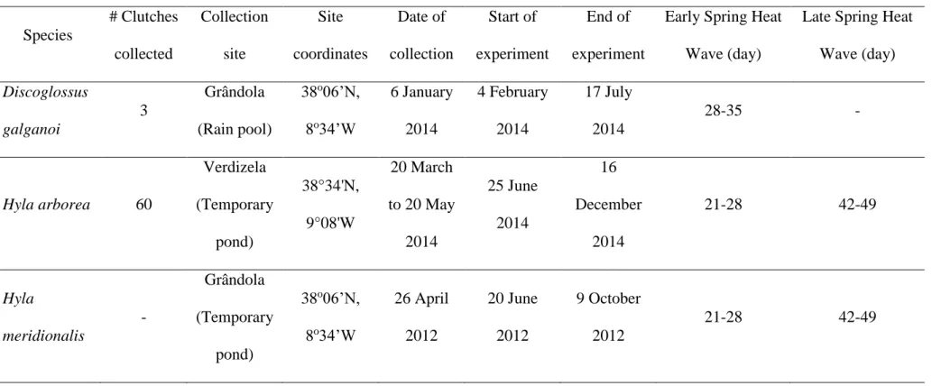 Table 1. Species origin and experimental procedures details. Number of clutches collected for the study species, their collection site (type of  water body); coordinates and dates of collection; dates of the start and end of each experiment; and experiment