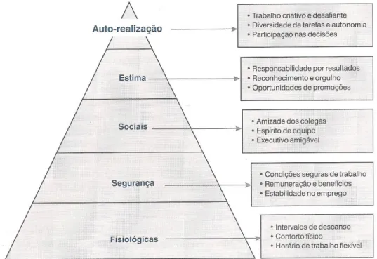 Figura 1- Hierarquia das necessidades humana e meios de satisfação. 