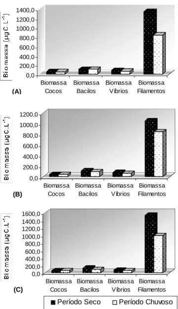 Figura 7: Médias das biomassas (µgC.L ) dos morfotipos bacterianos nos períodos seco e chuvoso  em São Rafael (A), Itajá (B) e Assu (C)