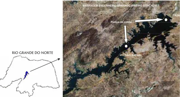 Figura 1: Localização dos pontos de coleta referentes aos dois municípios. 