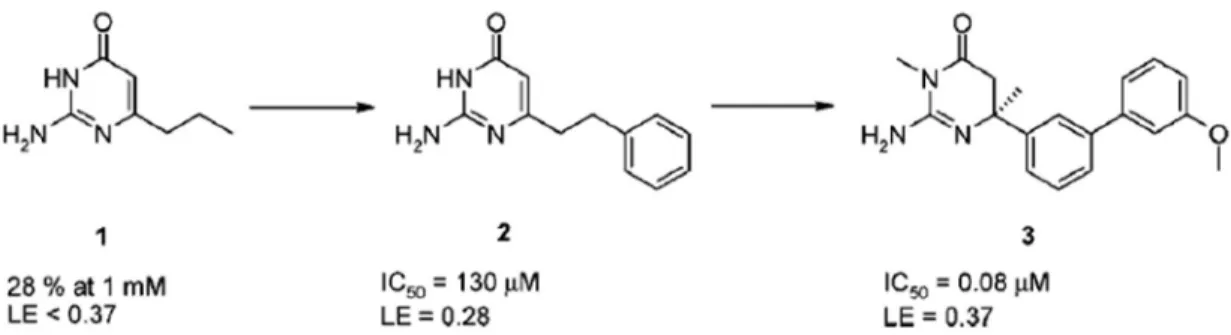 FIGURA 1.17- Evolução do fragmento 6-propil isocitosina ao potente inibidor não peptidico BACE-1