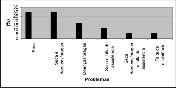 Gráfico 16: Principais problemas da cajucultura, na opinião dos agricultores de Serra 