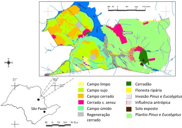 Figura 1. Localização da Estação Ecológica de Itirapina no estado de São Paulo, Brasil, e as fisionomias  presentes  na Unidade  (adaptado  de  São  Paulo,  2006)