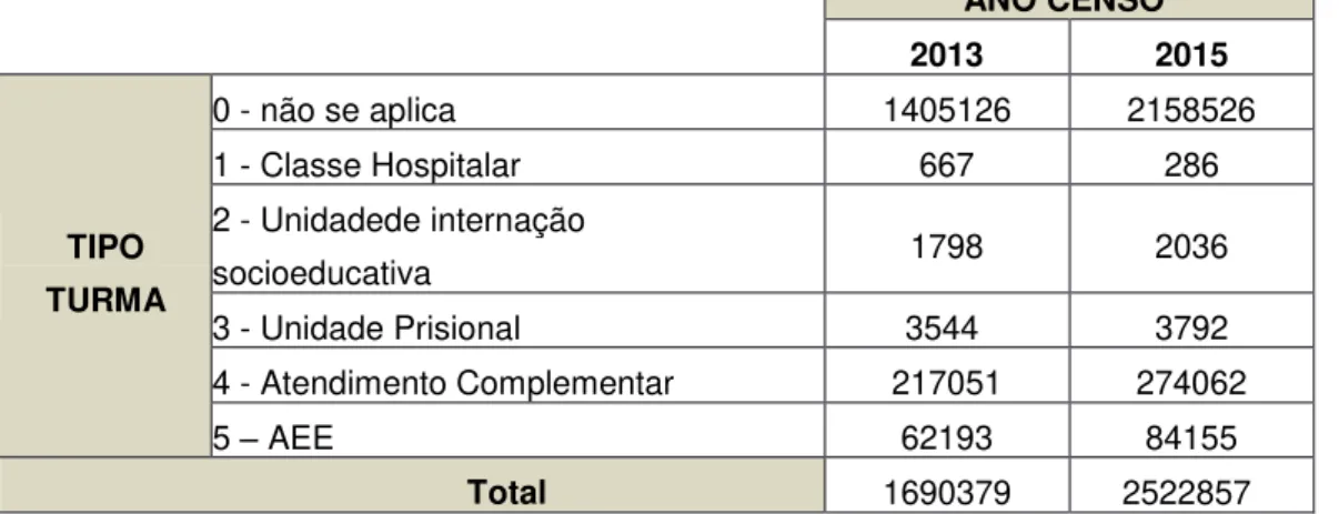 Tabela 4: Dados Gerais do quantitativo de turmas por tipo de atendimento 