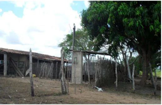 Figura 6: Assentamento rural Eldorado do Carajás, Macaíba - RN. 
