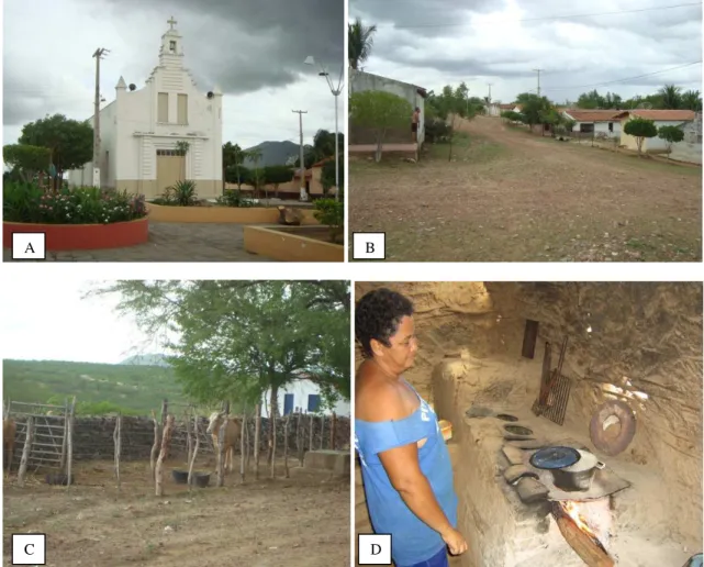 FIGURA 4. a) Igreja de São Francisco da comunidade de Laginhas; b) ruas da comunidade;  c) currais de gado no limite da comunidade; d) senhora entrevistada cozinhando no fogão a  lenha