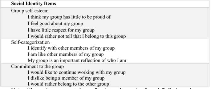 Table 1 Social Identity Items 