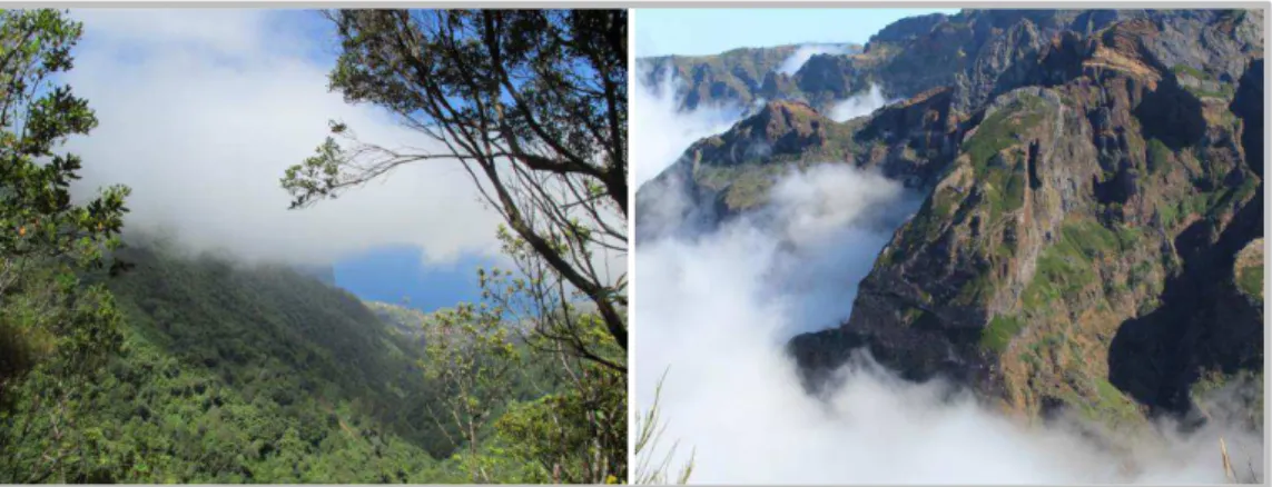 Figura 5. Precipitação oculta na ilha da Madeira