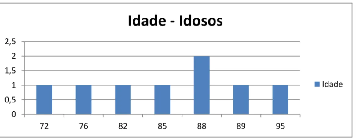 Gráfico nº2  –  Distribuição da população idosa segundo a idade 