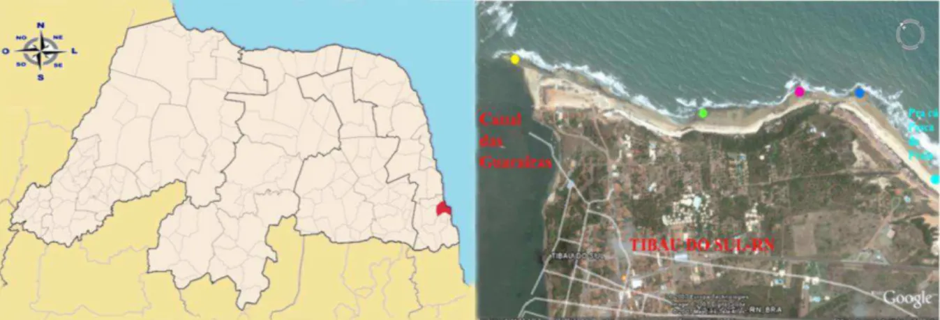 Figura 1. Localização da área de estudo  – Estado do Rio Grande do Norte – Nordeste do Brasil,  em destaque o município de Tibau do Sul, que compreende uma área continental, outra estuarina