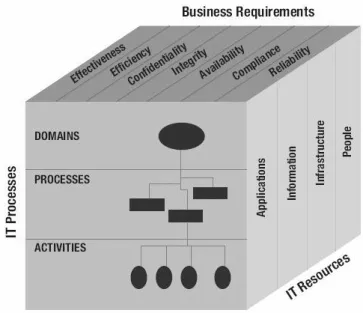 Figure 2.7: Cobit cube [7]