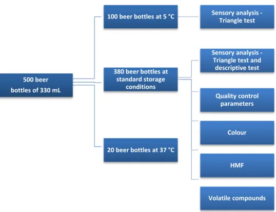 FIGURE 2.1 – Scheme of the beer samples storage used in this study 500 beer 