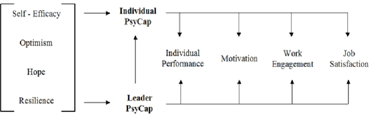 Figure 1. Synthesis of the study focus 