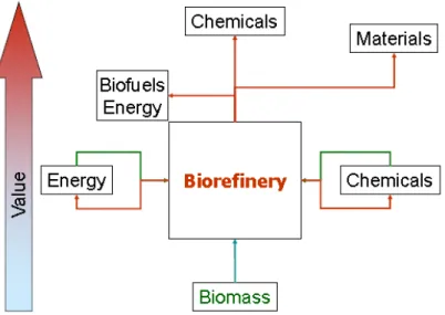 Figure 1-1 The biorefinery concept (reprinted from  3 ) 