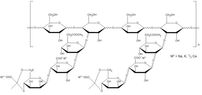 Figure 1-11 Structure of extracellular polysaccharide of X. campestris (adapted from 82 ) 