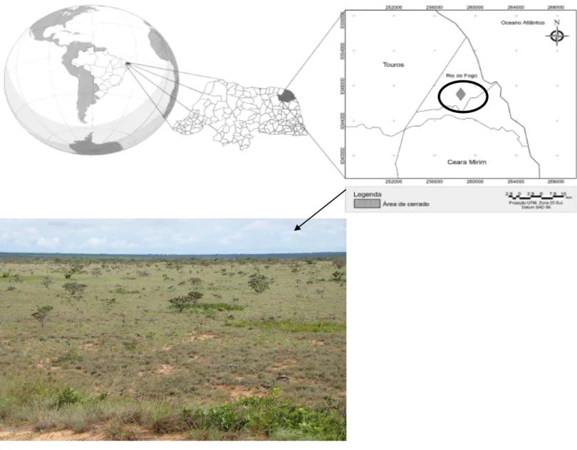 Figura  1)  Localização  e  imagem  da  comunidade  de  fisionomia  savânica  estudada  em  Rio do Fogo, RN
