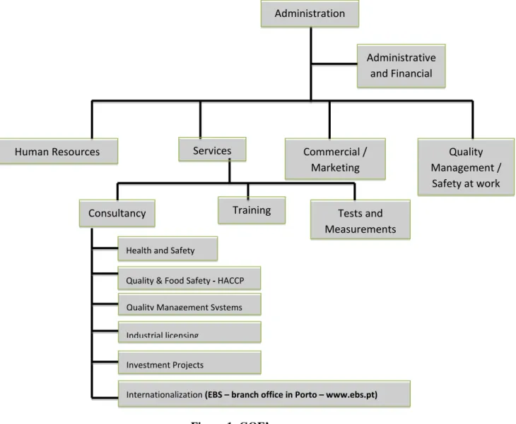 Figure 1: GOE’s organogram 