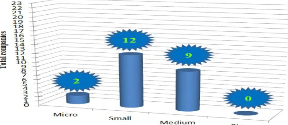 Figure 11 – Customer_Size of the company 