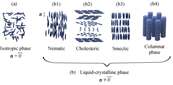 Figure 1.3: Representation of the local molecular ordering and the director for the different LC phases: (a) isotropic phase and (b) liquid crystalline phases – (b1) nematic, (b2) cholesteric, (b3) smectic and (b4) columnar phase.