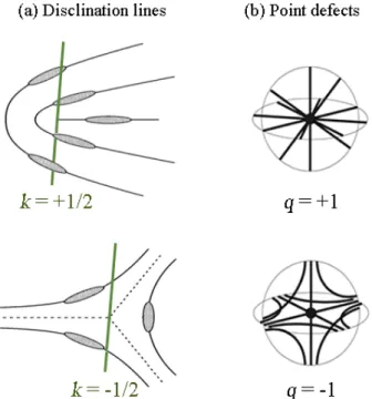 Figure 2.7: Examples of stable disclination lines (left) with half-integer winding number k and stable point defects (right) with integer  topolog-ical charge q
