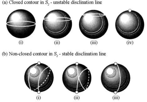 Figure 2.9: Mapping of (a) unstable and (b) stable disclination lines into S 2 . (a) i-iv: continuous distortion of an integer line defect into a uniform LC; (b) i-iii: continuous distortion of a k = 3/2 to a k = 1/2 disclination line