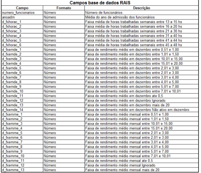 Tabela 3  – Campos base de dados RAIS: 