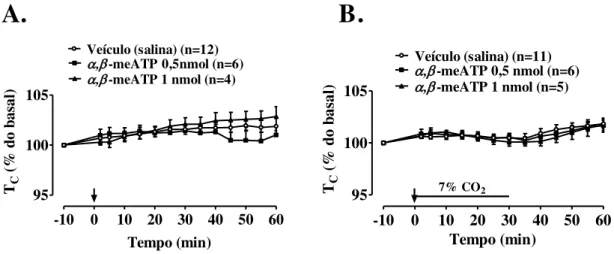 Figura 8. Efeito da microinjeção de  α,β -meATP (0,5 nmol/40 nL e 1 nmol/40 nL) ou veículo (40 nL  salina)  no  Locus  coeruleus  (LC)  sobre  a  temperatura  corporal  (Tc)  de  ratos  em  normocapnia  (A)  e  durante  hipercapnia  (B)