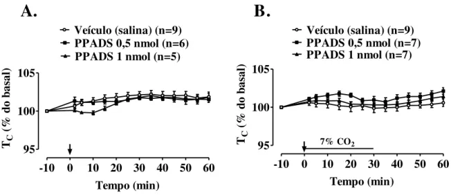 Figura  11.  Efeito  da  microinjeção  de  PPADS  (0,5  nmol/40  nL  e  1  nmol/40  nL)  ou  veículo  (40  nL  salina)  no  Locus  coeruleus  (LC)  sobre  a  temperatura  corporal  (Tc)  de  ratos  em  normocapnia  (A)  e  durante hipercapnia (B)