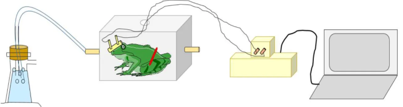 Figura  5.  Desenho  esquemático  do  aparato  experimental  utilizado  para  a  realização dos experimentos