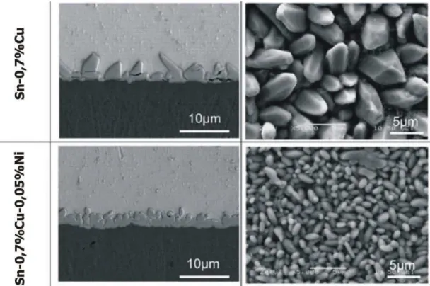 Figura  19.  Seção  transversal  de  uma  região  soldada  entre  as  ligas  de  soldagem Sn-Cu-Ni obtidas pelo processo BGA [Adaptada de 40]