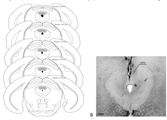 Figura  2:  (A)  representação  esquemática  de  sítios  de  microinfusão  (área  cinza)  na  MCPd  de  camundongos