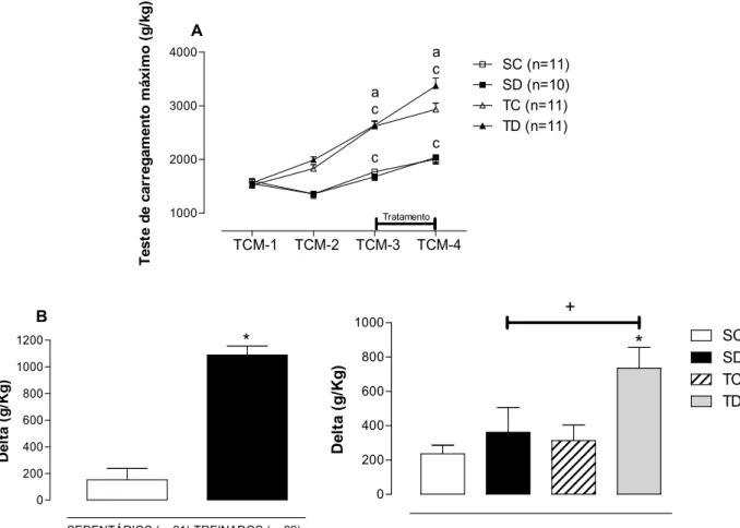 Figura 6. A: Resultados dos testes de carregamento máximo realizados na escada durante o protocolo  experimental normalizados pelo PC, nas 4 avaliações  (TCM-1, TCM-2, TCM-3 e TCM-4) nos 4 grupos  avaliados: sedentário controle (SC), sedentário tratado com