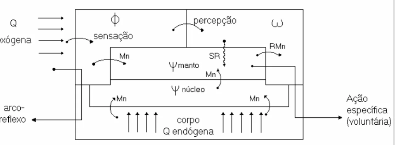 Figura 1: Representação da organização do aparelho neuropsíquico  