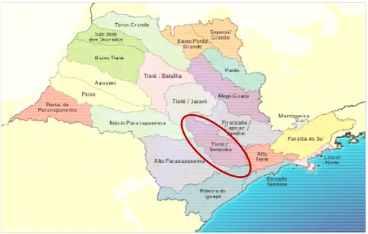 FIGURA 1- Bacias Hidrográficas do Estado de São Paulo  Fonte: REDE DAS ÁGUAS (2005). 