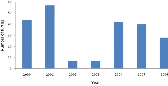 Fig. 8 Size classes (SCL) frequency of turtles subject to laparoscopy (2000-2006). 