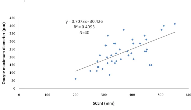 Fig. 13 Maximum observed oocyte diameter (stage III) within a biopsy sample across size classes for juvenile  loggerheads