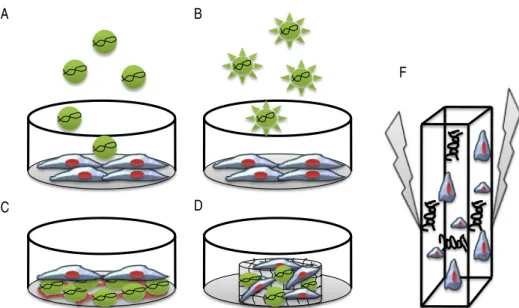Figure 1. Schematic of DNA delivery to MSCs by chemical (A, B, C and D) and physical methods (F)