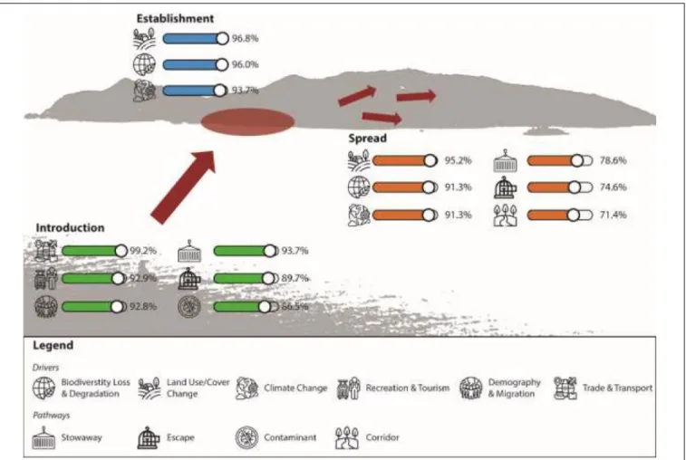 FIGURE 1 | Summary of the three main drivers of alien species richness for all invasion stages and the three main pathways of alien species introduction and spread contributing to substantially to an increase of alien species richness
