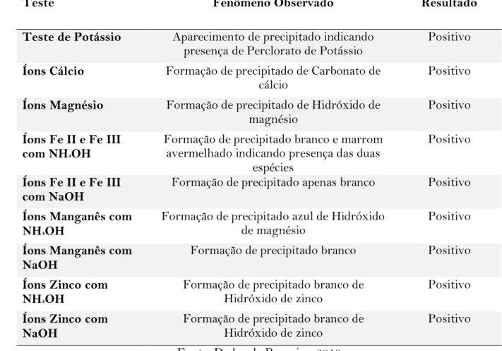 Tabela 4 – Fenômenos observados e resultados obtidos da análise qualitativa. 
