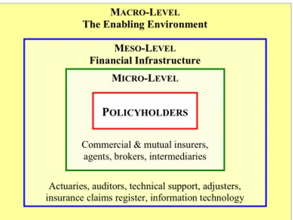 Figure 1: The structure and environment of microinsurance  