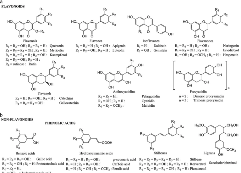 Fig. 1. Chemical structures of different classes of polyphenols.
