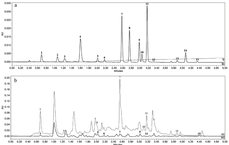 Fig. 2. (a) Chromatogram of (i) extractant solvent, in order to test the method selectivity; and (ii) a standard mixture of polyphenols; (b) UHPLC–PDA chromatogram of (iii) a red wine; and (iv) a white wine; using absorbance detection at 307 nm