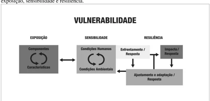 Figura 1. Detalhamento do Quadro de Análise da Vulnerabilidade e componentes da  exposição, sensibilidade e resiliência