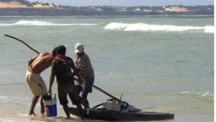 Figura 7. Acompanhamento de desembarques da frota pesqueira artesanal da Praia da Pipa no  período de junho de 2009 a junho de 2010
