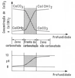 Figura 15 – Zonas envolvidas no mecanismo da carbonatação e a variação do pH ao longo da profundidade  (22) 