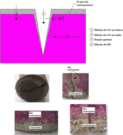 Figura 16 – Representação esquemática da carbonatação no interior de uma fissura 