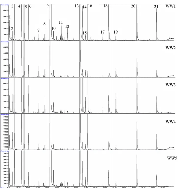 Fig. 4 – Total ion current chromatograms (TIC) of wine VOCs and SVOCs after SPME extraction with PDMS fibre (extraction temperature: 30 ◦ C; extraction time: 60 min; 30% (w/v) NaCl; stirring: 750 rpm)