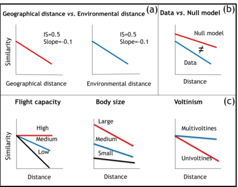 Figure 1. Predictions based on the distance decay framework. (a) The decay rates and  initial similarity should be similar when using environmental and geographical distance